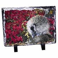 Porcupine Wildlife Print, Stunning Photo Slate