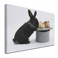 Rabbit and Guinea Pigs in Top Hat Canvas X-Large 30"x20" Wall Art Print