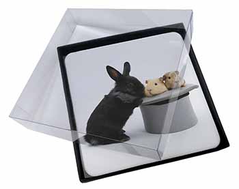 4x Rabbit and Guinea Pigs in Top Hat Picture Table Coasters Set in Gift Box