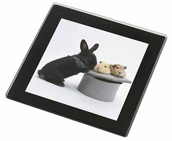 Rabbit and Guinea Pigs in Top Hat Black Rim High Quality Glass Coaster