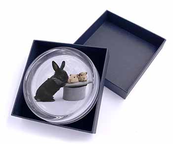 Rabbit and Guinea Pigs in Top Hat Glass Paperweight in Gift Box