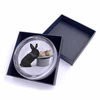 Rabbit and Guinea Pigs in Top Hat Glass Paperweight in Gift Box