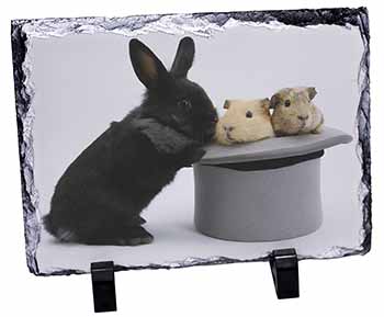 Rabbit and Guinea Pigs in Top Hat, Stunning Photo Slate