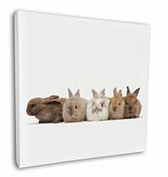Cute Rabbits Square Canvas 12"x12" Wall Art Picture Print