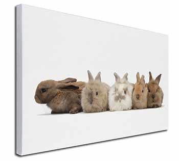 Cute Rabbits Canvas X-Large 30"x20" Wall Art Print