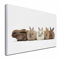 Cute Rabbits Canvas X-Large 30"x20" Wall Art Print