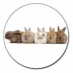 Cute Rabbits Fridge Magnet Printed Full Colour