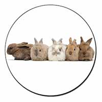 Cute Rabbits Fridge Magnet Printed Full Colour