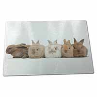 Large Glass Cutting Chopping Board Cute Rabbits