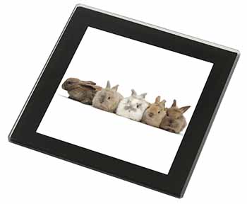 Cute Rabbits Black Rim High Quality Glass Coaster