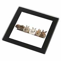 Cute Rabbits Black Rim High Quality Glass Coaster