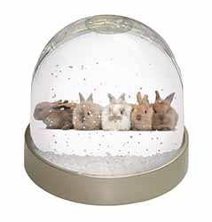 Cute Rabbits Snow Globe Photo Waterball