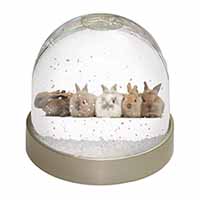 Cute Rabbits Snow Globe Photo Waterball