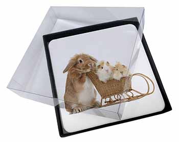 4x Rabbit and Guinea Pigs Picture Table Coasters Set in Gift Box