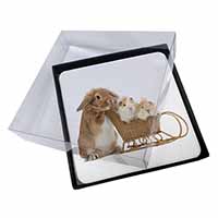 4x Rabbit and Guinea Pigs Picture Table Coasters Set in Gift Box