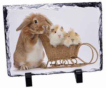 Rabbit and Guinea Pigs, Stunning Photo Slate