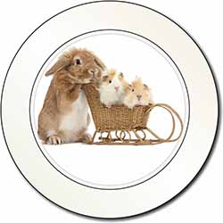Rabbit and Guinea Pigs Car or Van Permit Holder/Tax Disc Holder