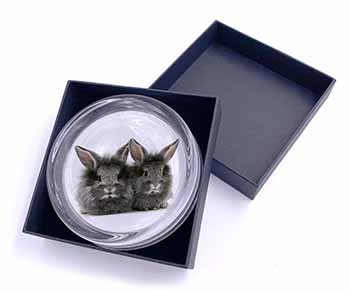 Silver Rabbits Glass Paperweight in Gift Box