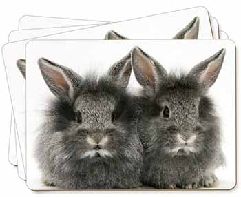 Silver Rabbits Picture Placemats in Gift Box