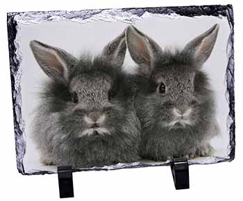 Silver Rabbits, Stunning Photo Slate