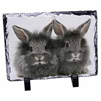 Silver Rabbits, Stunning Animal Photo Slate