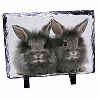 Silver Rabbits, Stunning Photo Slate