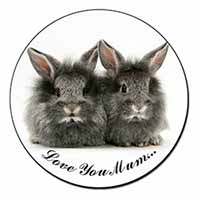 Silver Rabbits 