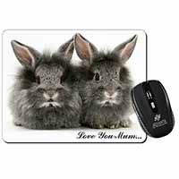 Silver Rabbits 