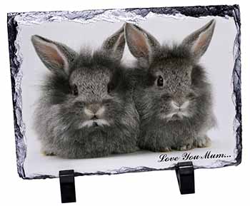 Silver Rabbits 
