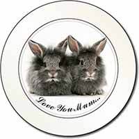 Silver Rabbits 