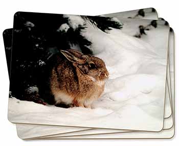 Rabbit in Snow Picture Placemats in Gift Box