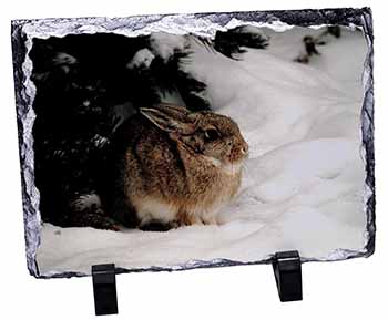 Rabbit in Snow, Stunning Photo Slate