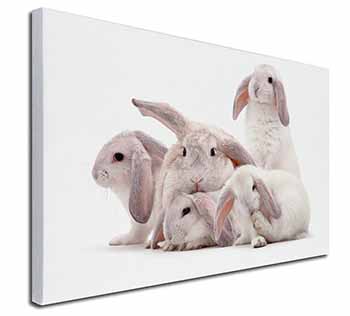 Cute White Rabbits Canvas X-Large 30"x20" Wall Art Print