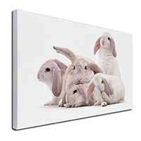 Cute White Rabbits Canvas X-Large 30"x20" Wall Art Print