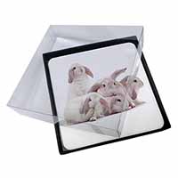 4x Cute White Rabbits Picture Table Coasters Set in Gift Box