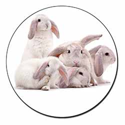 Cute White Rabbits Fridge Magnet Printed Full Colour