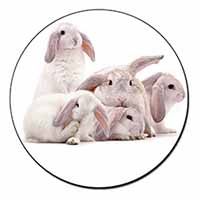 Cute White Rabbits Fridge Magnet Printed Full Colour
