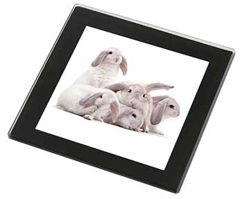 Cute White Rabbits Black Rim High Quality Glass Coaster