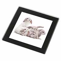 Cute White Rabbits Black Rim High Quality Glass Coaster