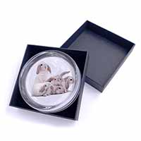 Cute White Rabbits Glass Paperweight in Gift Box