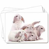 Cute White Rabbits Picture Placemats in Gift Box