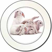 Cute White Rabbits Car or Van Permit Holder/Tax Disc Holder
