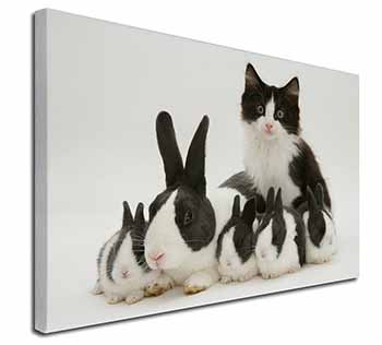 Belgian Dutch Rabbits and Kitten Canvas X-Large 30"x20" Wall Art Print