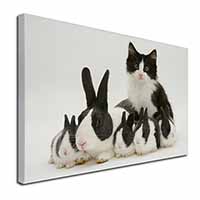 Belgian Dutch Rabbits and Kitten Canvas X-Large 30"x20" Wall Art Print