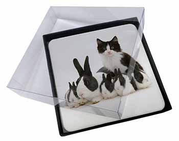 4x Belgian Dutch Rabbits and Kitten Picture Table Coasters Set in Gift Box