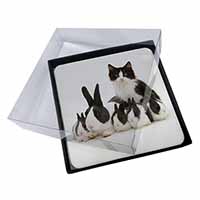 4x Belgian Dutch Rabbits and Kitten Picture Table Coasters Set in Gift Box