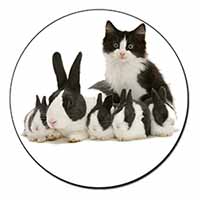 Belgian Dutch Rabbits and Kitten Fridge Magnet Printed Full Colour