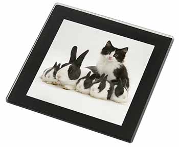 Belgian Dutch Rabbits and Kitten Black Rim High Quality Glass Coaster