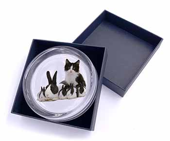 Belgian Dutch Rabbits and Kitten Glass Paperweight in Gift Box