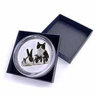 Belgian Dutch Rabbits and Kitten Glass Paperweight in Gift Box